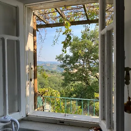 In Via Pantani Apartamento *